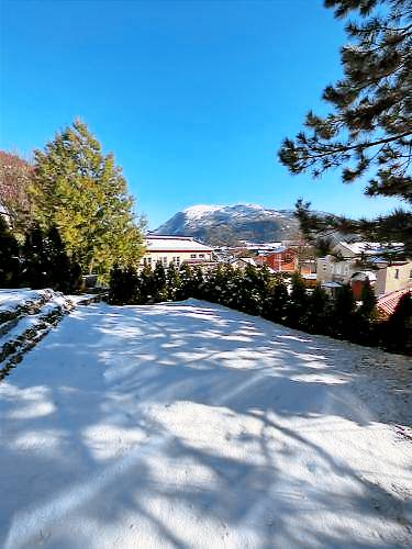 Ferienwohnung Bad Ischl