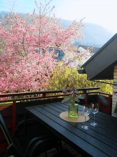 Apartment  Gruibingen