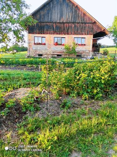 Apartmán Kvasiny