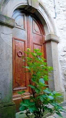 House  Irola