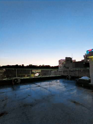 foto1