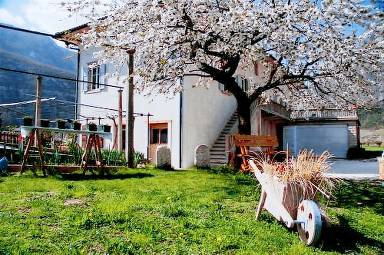 B&B La Fosina