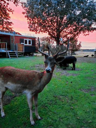 Bed & Breakfast Lage Vuursche