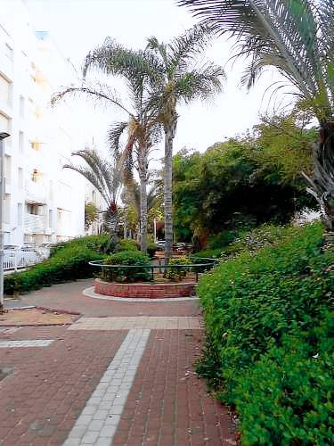 Appartement Ashdod