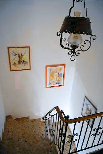 foto4