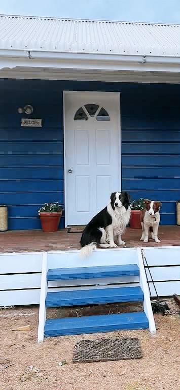Cabin Golden Beach