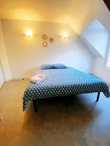 Studio 20 m²