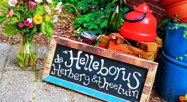 Eco-Camping De Helleborus, Yurt, Bell & Safari tent, Pipo, Caravans, Dorms and Units