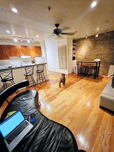 DC Playhouse Charming 2-bedroom bed & breakfast in lovely Georgetown Washington