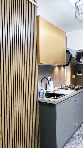 Apartment Micro 5