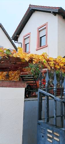 foto2