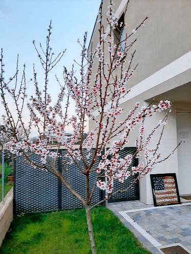 Bed & Breakfast Vicenza
