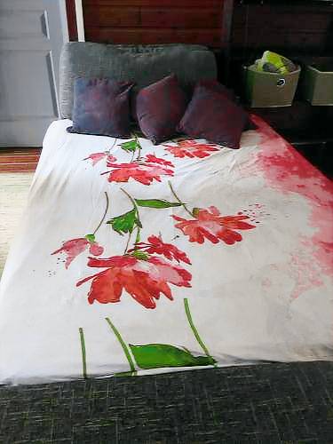 Appartement Saint-Louis