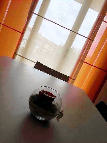 foto5