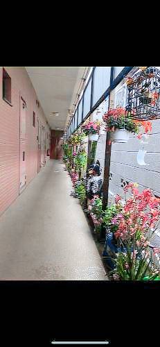foto2