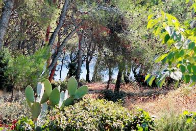 Appartamento 62 m²