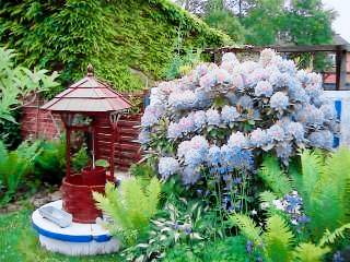 foto10