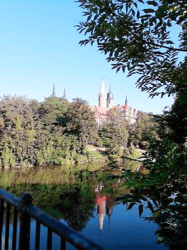 foto2