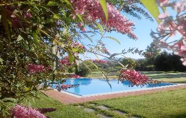 Voll ausgestattetes Apartment mit Pool, Garten und Grill | Panoramablick