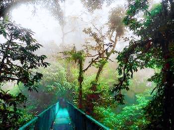 Hostel Coati Place Bed & Breakfast in Alajuela