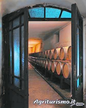 Tenuta Il Corno: CAMINETTO — photo 4