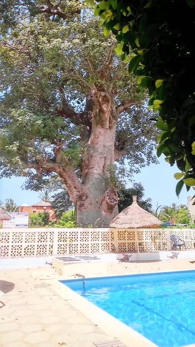 Casa de 64 m²