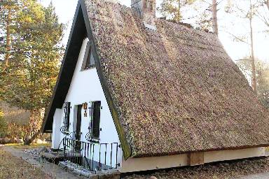 55 m² House