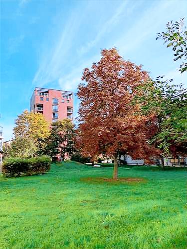 32 m² Ferienwohnung