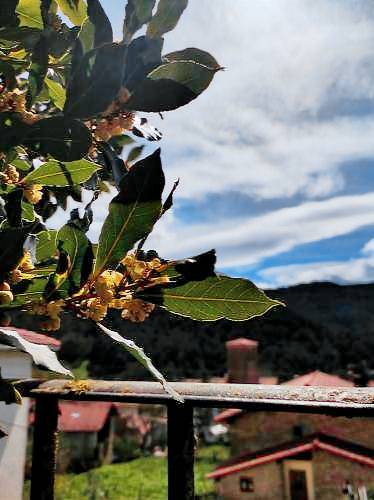 Bed & Breakfast Zubiri