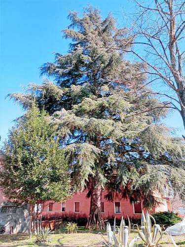 Bed & Breakfast Sasso Marconi