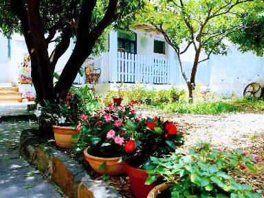 Cottage 40 m²