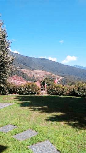 foto2