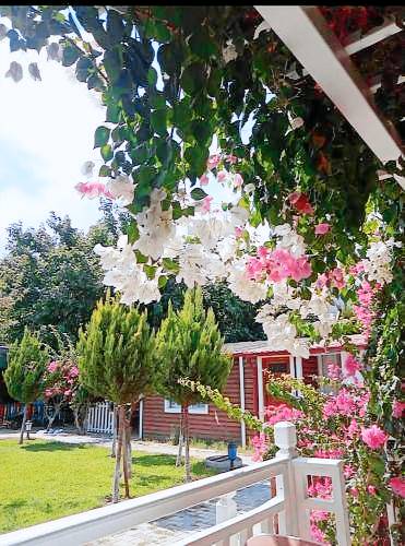 Resort Ulupınar Mahallesi