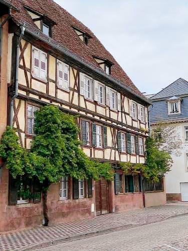 Appartement Wissembourg