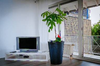 Appartamento 60 m²