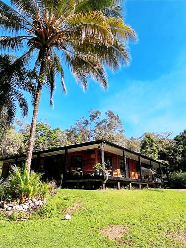 House  Cape Tribulation