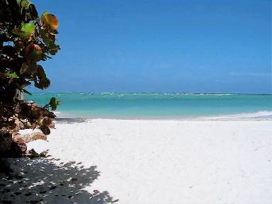 Condo Anna Maria