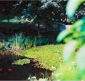 Privatzimmer Usseln