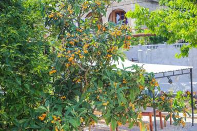 Accommodation Kutaisi
