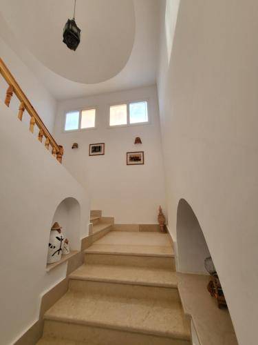 foto12