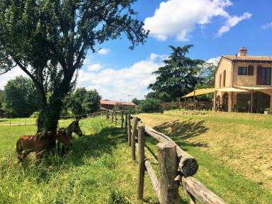 Magnifica camera privata accogliente e familiare con giardino | Vista sulla natura | Ammette animali domestici