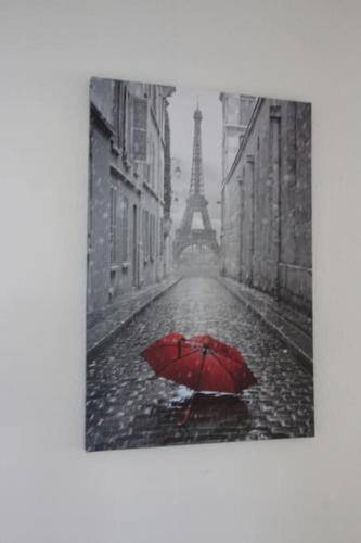 foto7