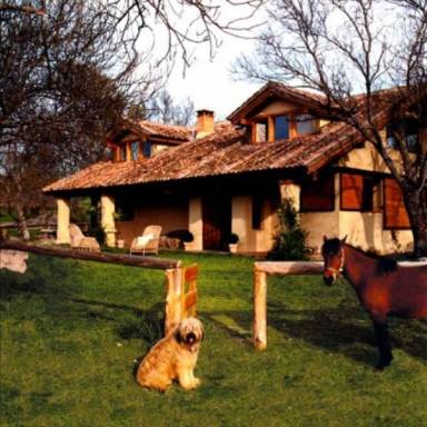 Casa  Ortigosa del Monte