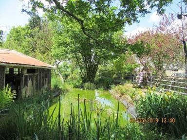 Cottage Poullaouen