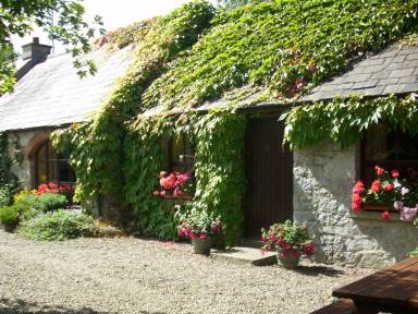 Cottage Knockroe