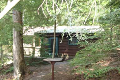 Cabin  Saranac Lake