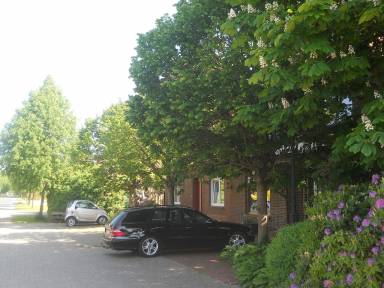 Ferienwohnung Wiesmoor