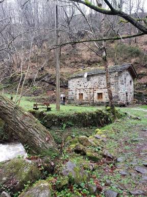 Cabaña Selaya