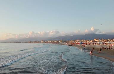 Dom Viareggio