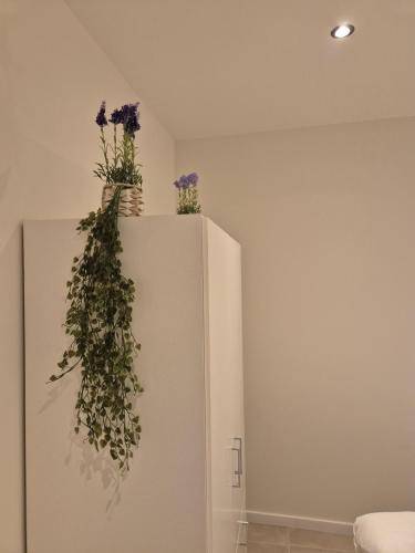 Appartement  Mechelen
